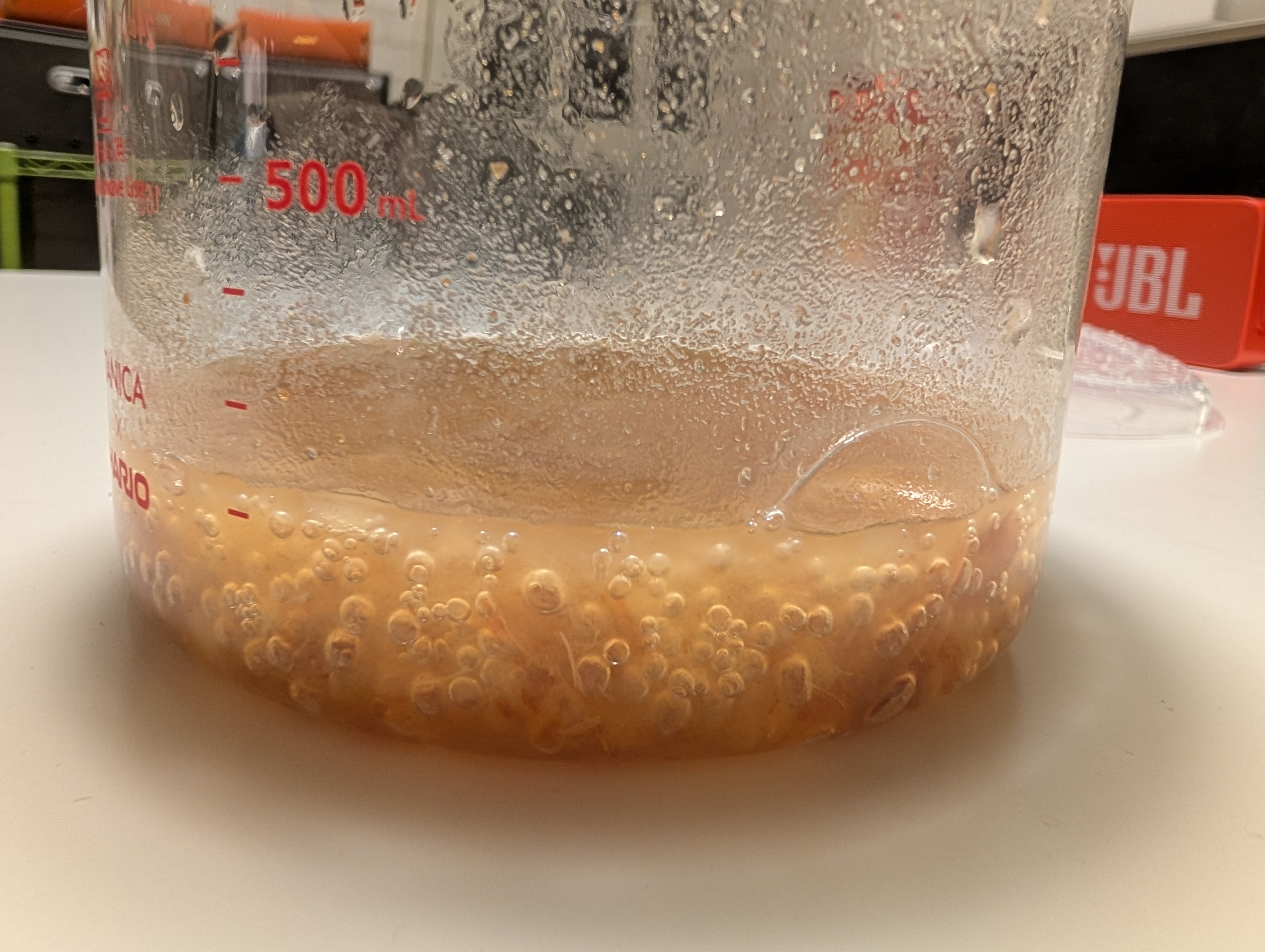 Date yeast water had many bubbles, day four